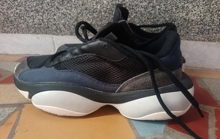 Top stav, puma,42