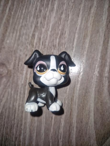 Littlest pet shop boxer, 