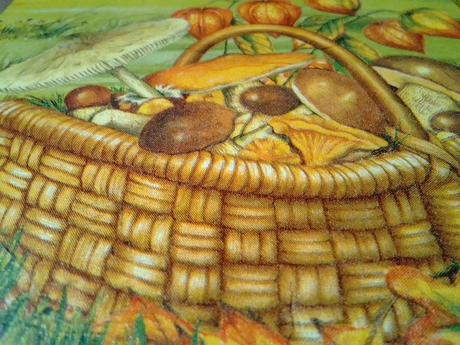 Obrázok košík plný hríbov, 