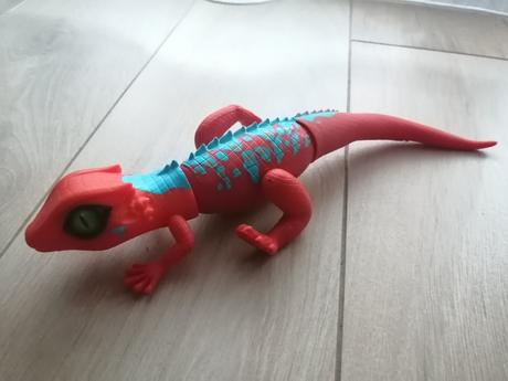 Robo jašter, jašterica červená,