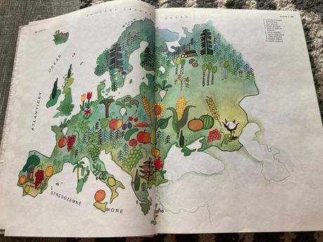 S maliarom okolo sveta prvé vydanie 1989,