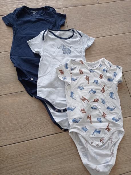 3x body, fox & bunny,86