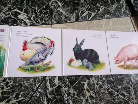 Domáce zvieratká po anglicky, 