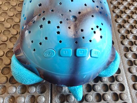 Svietiaca korytnačka, 