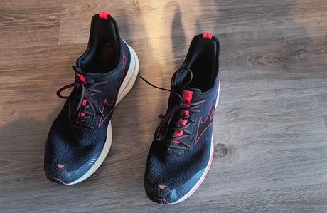 Pánske bežecké tenisky, mizuno,47