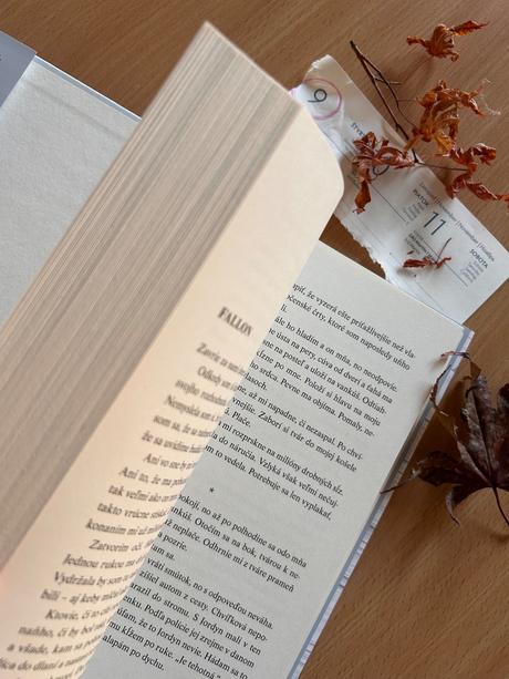 Colleen hoover - 9. november,