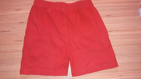 Kraťasy, st. bernard,104