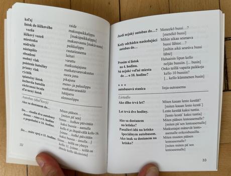 Fínčina na cesty - konverzačná príručka božoňová,