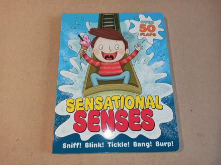 Sensational senses flap book, 