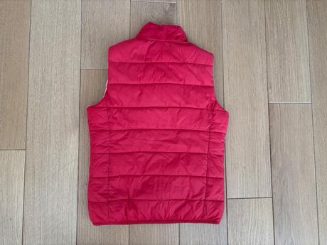 Vesta primigi, primigi,116