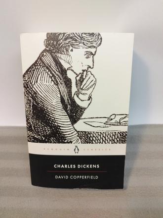 Charles dickens - david coperfield su24,