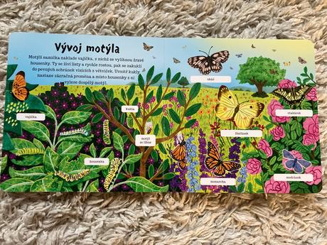 Drobní živočíchove,