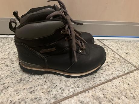 Timberland 31, timberland,31