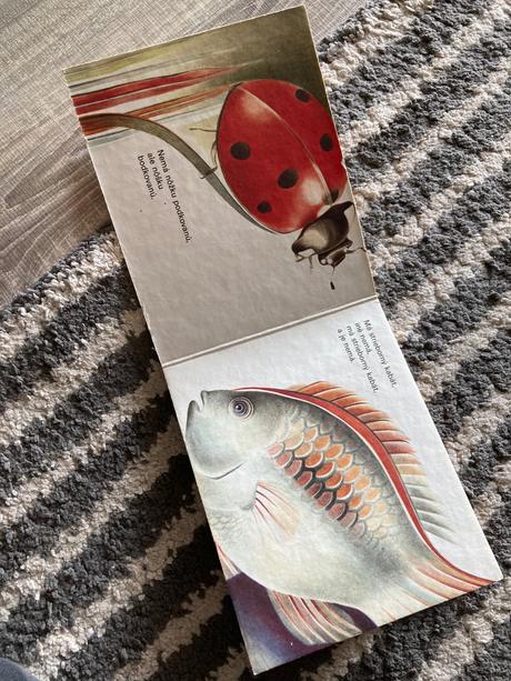 Jozef pavlovič hádanky z lesa a lúky (1983), 