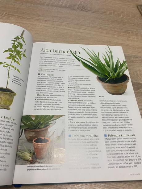 Velká kniha bylinek bylinky, 
