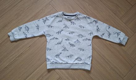 Chlapčenská mikina s dinosaurami, f&f,116