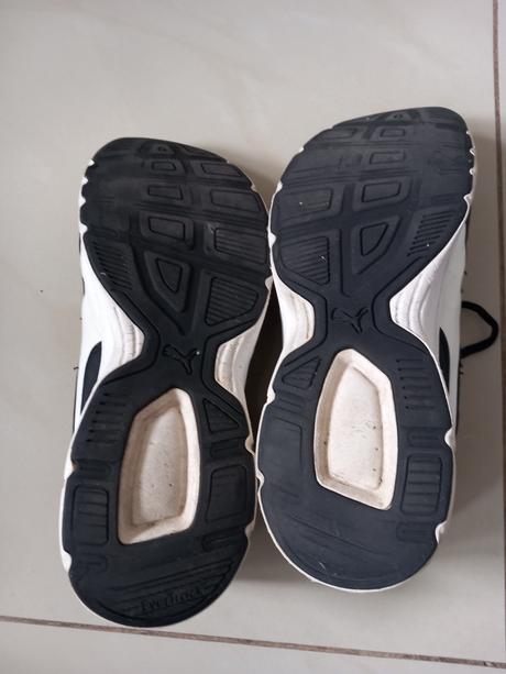 Botasky puma, puma,42