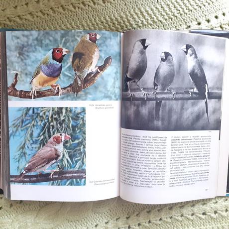 Veĺký obrazový atlas vtákov, 