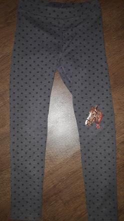 Hrubsie leginy, 128