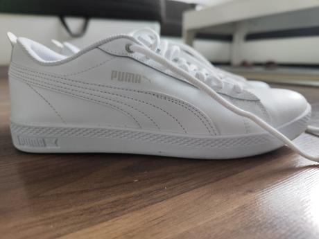 Botasky puma, puma,39