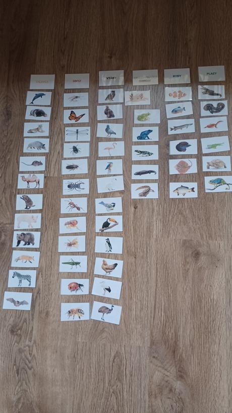 Montessori triedenie zvierat,