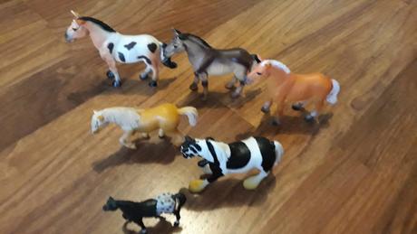 Predam krasnych konikov, 