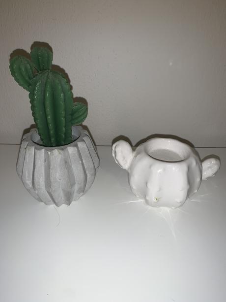Dekorácia kaktus,