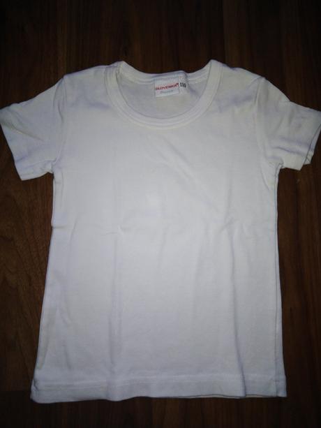 Tricko, slovenka,110