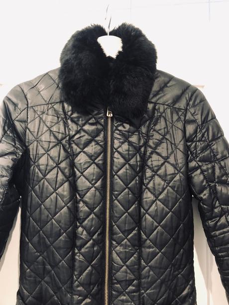 Rinascamento prechodna vetrovka, s