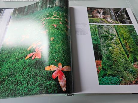 Kniha přírodní divy evropy, 