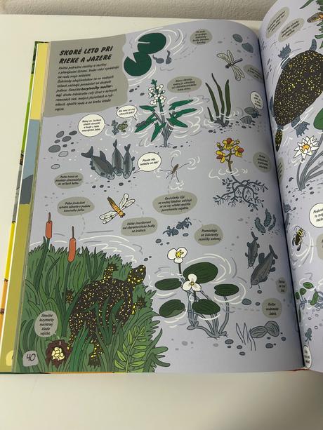 Nová kniha pozri príroda, 