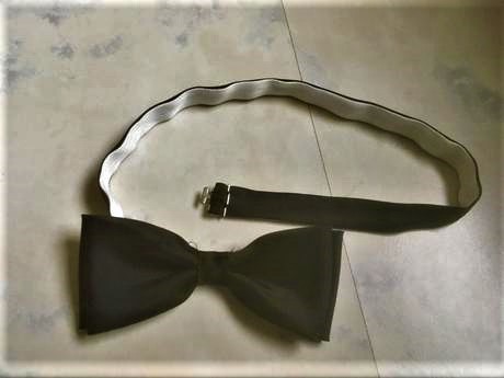 Spoločenský motýlik, 