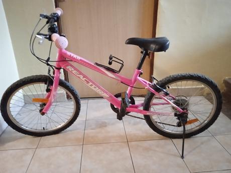 Dievčenský bicykel, 20