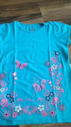 Tricko, authority,140