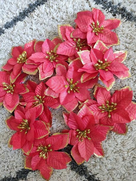 10ks červená vianočná ruža,