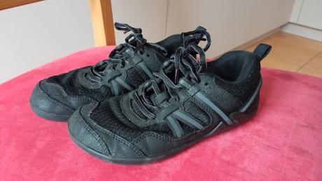 Barefoot tenisky xero prio, 32