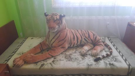 Plysovy tiger,