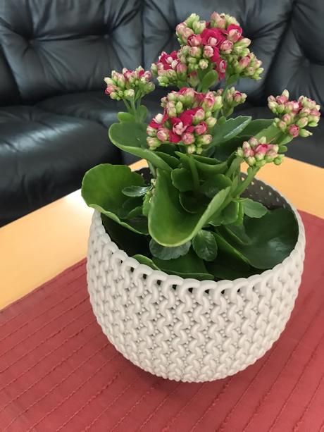 Plastový črepník, 