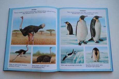 Nové obrázky zvierat, 