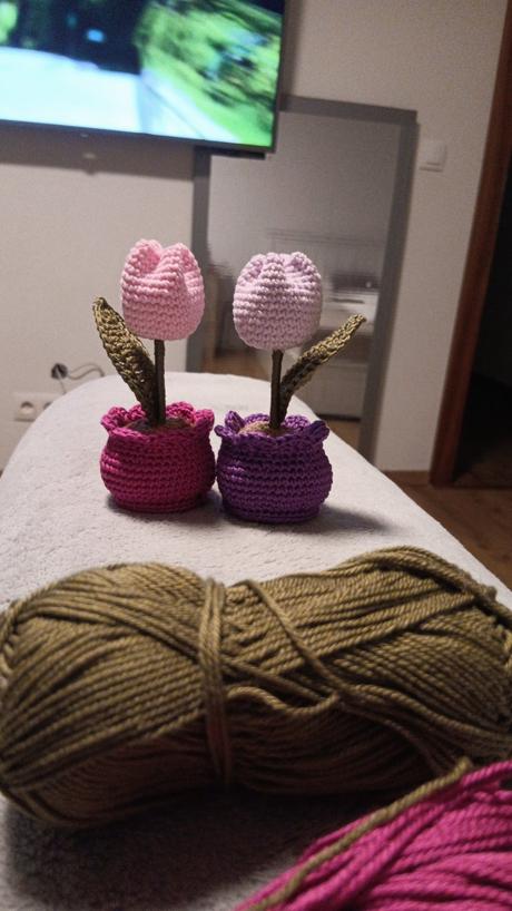 Háčkovaný tulipánik, 