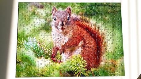 Puzzle veverička 8+,