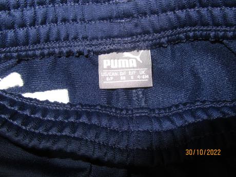 Suprava puma, puma,68