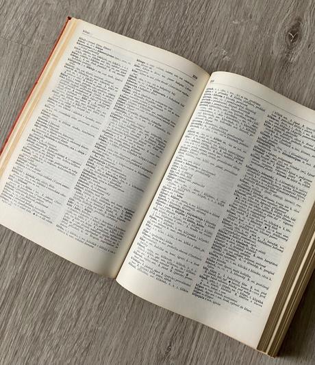 Srbocharvátsko český slovník, 