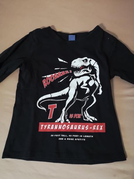 Pulóver dinosaur, dopodopo,104