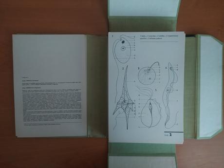 Biologický náčrtník, 