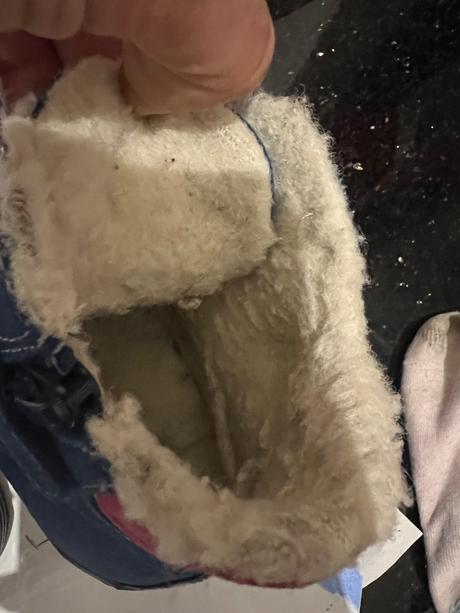 Agatha ruiz de la prada vel. 31, 31