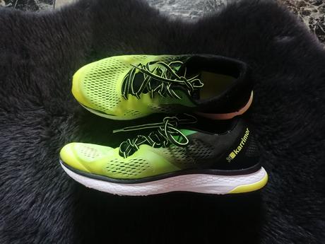 Tenisky carimor 43, 43