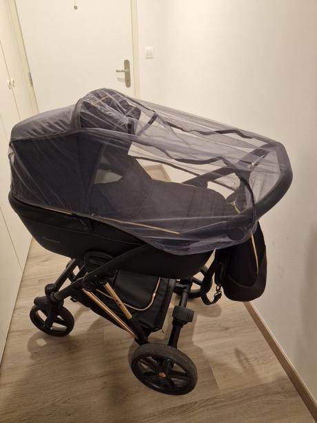 Kocik jasmine camino po jednom dietati, jasmine,jasmine camino