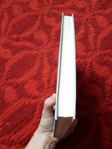 Kniha bobria stopa b . wolff,