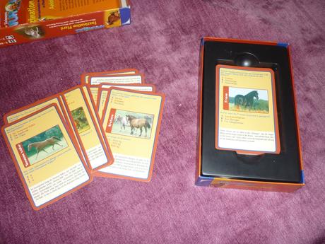 Hra / kvíz faszination pferd - od 8 rokov, 